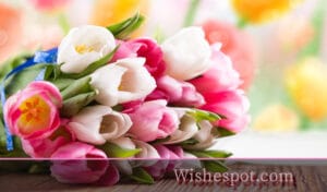 Good Luck Wishes-wishespot