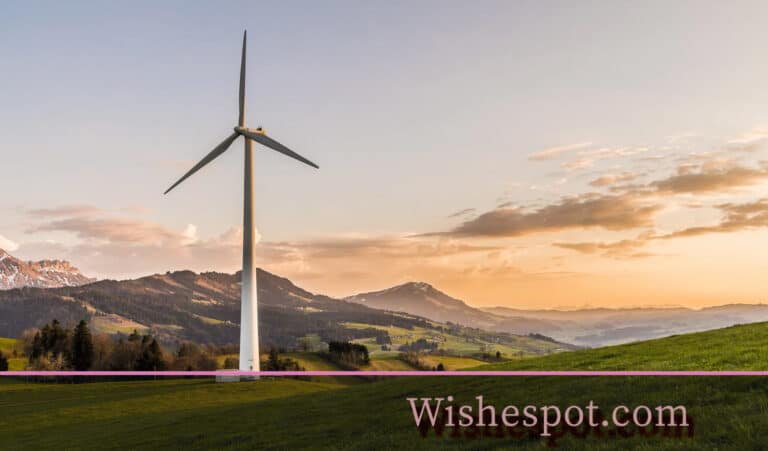 Sustainability and Green Living Quotes Sustainability and Green Living Quotes