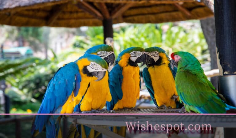 Funny Motivational Quotes Funny Motivational Quotes