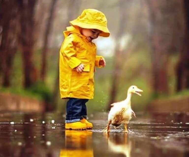 Funny WhatsApp Status